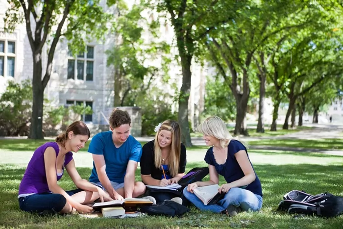 Diploma in Management QLS Level 6